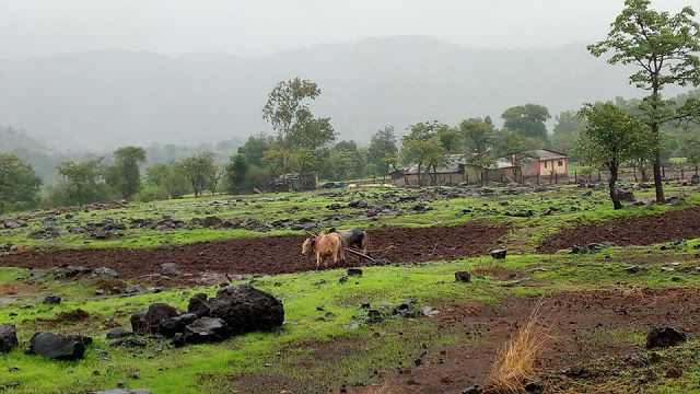 Photo of Mini Switzerland : Just 2 Hours from Mumbai#offbeatplace 2/5 by Snehal