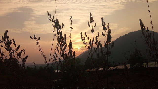 Photo of Tridib , Mulshi 5/6 by Snehal