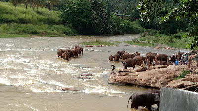 Photo of Serene Srilanka............ 15/26 by Snehal