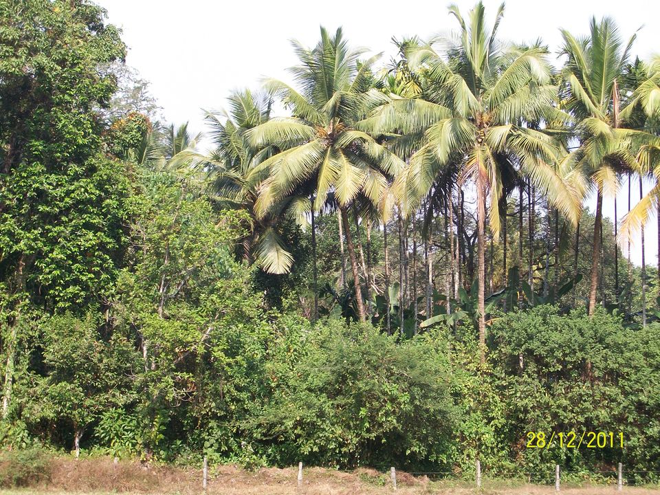 Photo of Manipal, Karnataka, India by Snehal