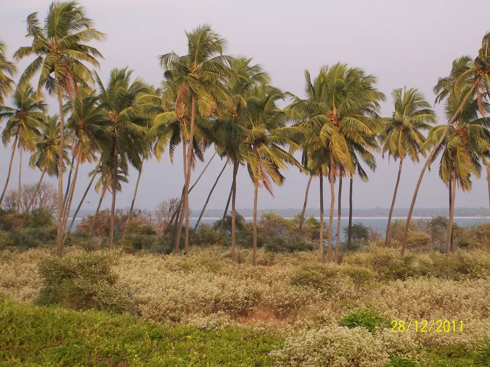 Photo of Udupi, Karnataka, India by Snehal 