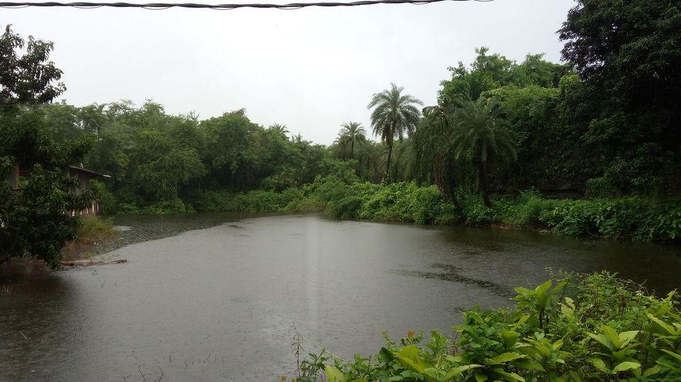 Photo of Vasai Fort, Killa Road, Police Colony, Vasai West, Vasai, Maharashtra, India by Snehal