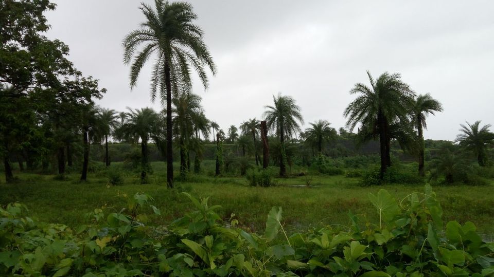 Photo of Vasai Fort, Killa Road, Police Colony, Vasai West, Vasai, Maharashtra, India by Snehal
