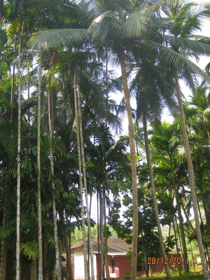 Photo of Manipal, Karnataka, India by Snehal
