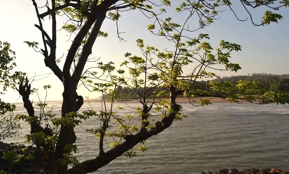 Photo of Anjarle - Aade Road, Murdi, Maharashtra, India by Snehal 