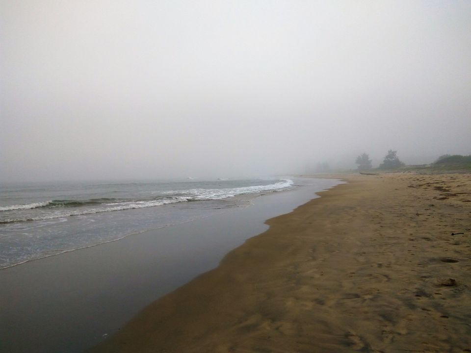 Photo of Winters in hills ?..Very common ..Have you every thought about winters on beaches and enjoying fog ? 5/11 by Snehal