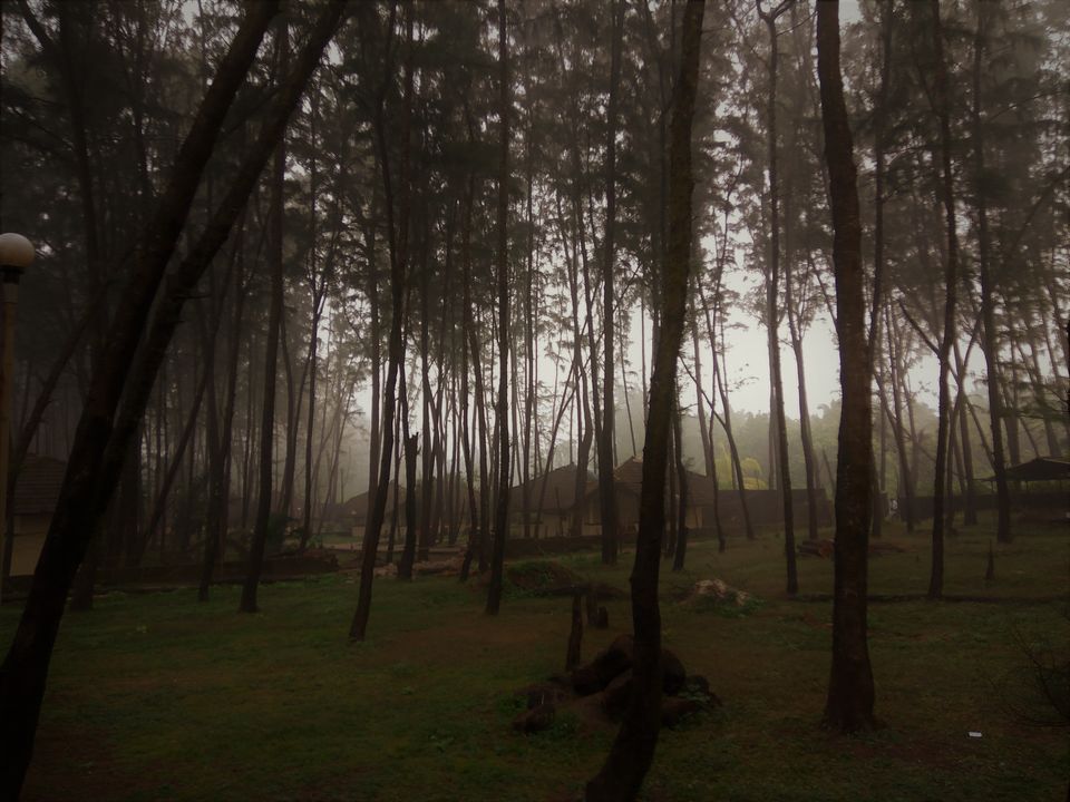 Photo of Winters in hills ?..Very common ..Have you every thought about winters on beaches and enjoying fog ? by Snehal