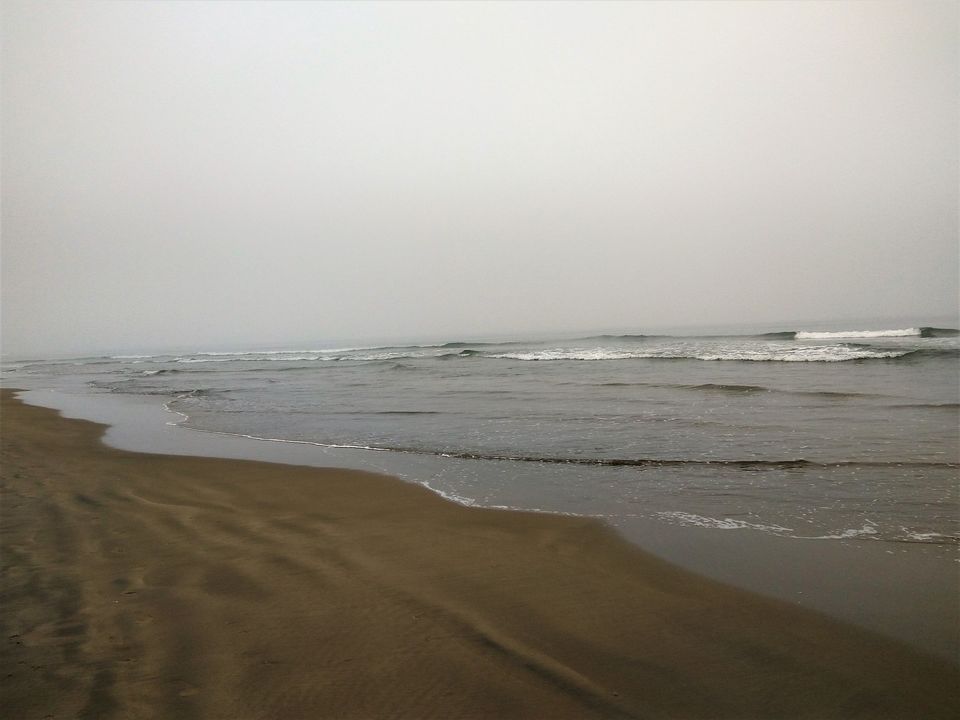 Photo of Winters in hills ?..Very common ..Have you every thought about winters on beaches and enjoying fog ? 6/11 by Snehal