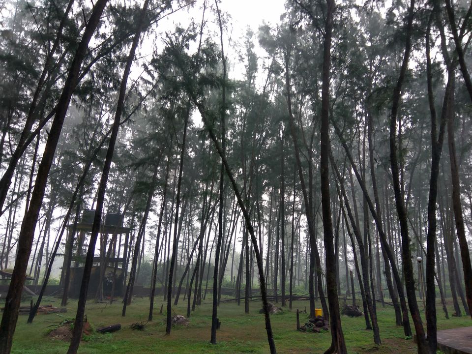 Photo of Winters in hills ?..Very common ..Have you every thought about winters on beaches and enjoying fog ? 3/11 by Snehal