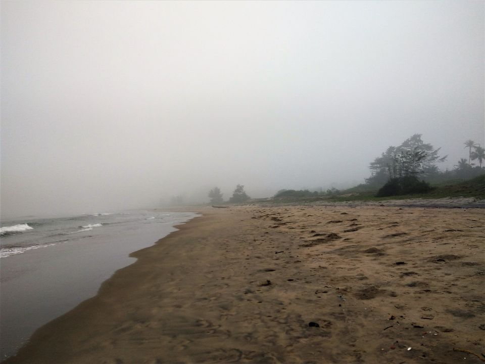 Photo of Winters in hills ?..Very common ..Have you every thought about winters on beaches and enjoying fog ? 7/11 by Snehal