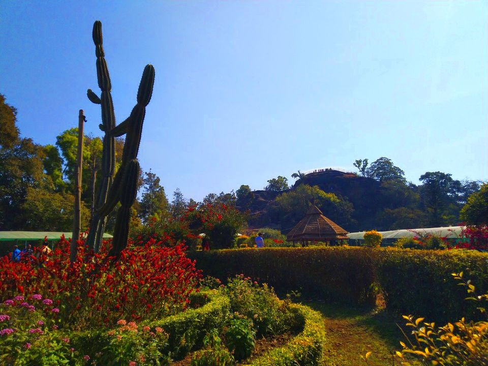 Photo of Pachmarhi, Madhya Pradesh, India by Snehal