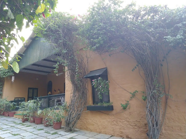 Photo of Mount Abu: Food, Weather and Activities- A Perfect Long Weekend Destination 2/14 by Snehal