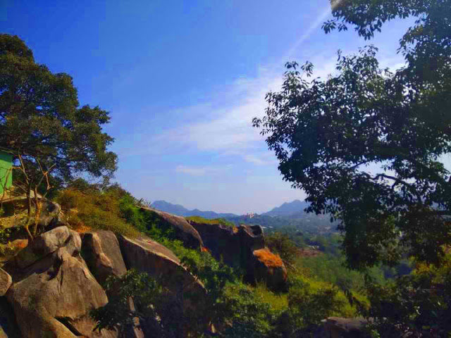 Photo of Mount Abu: Food, Weather and Activities- A Perfect Long Weekend Destination 9/14 by Snehal