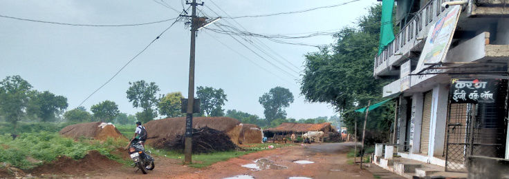 Photo of Why An Indian Trip Is Incomplete Without A Visit To A Village? 2/9 by Neha Makdey