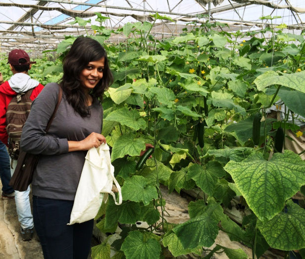 Photo of Farm Tour - What Is So Different About Green Tokri Farms? 6/10 by Neha Makdey