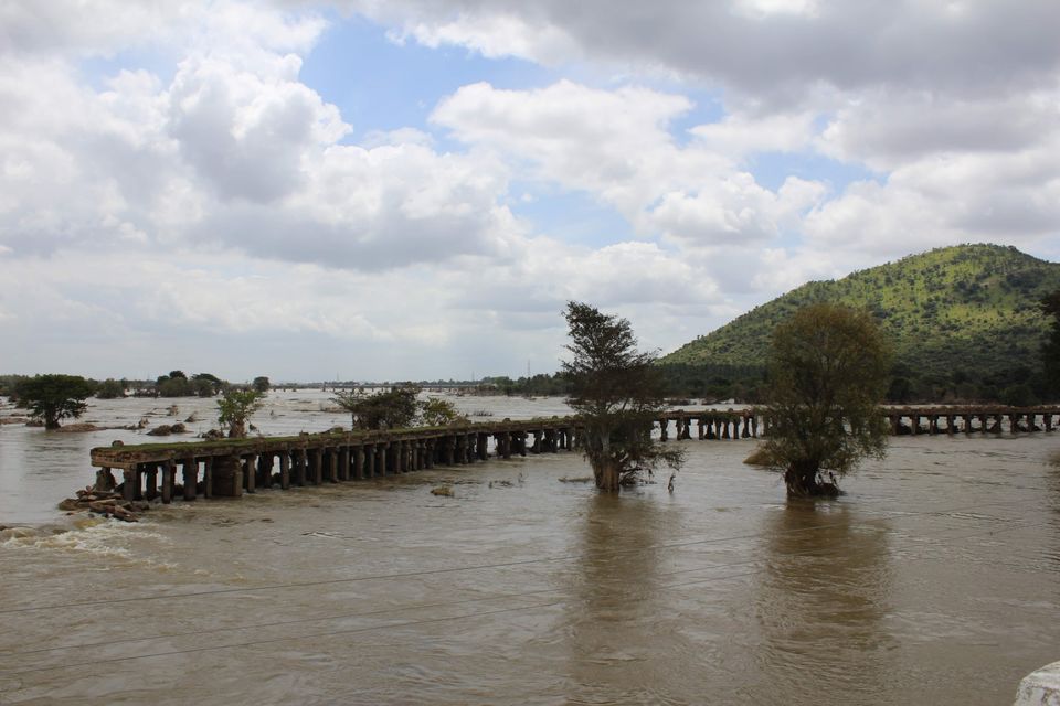 Photo of Shivanasamudra, Karnataka by Traveller Hoots