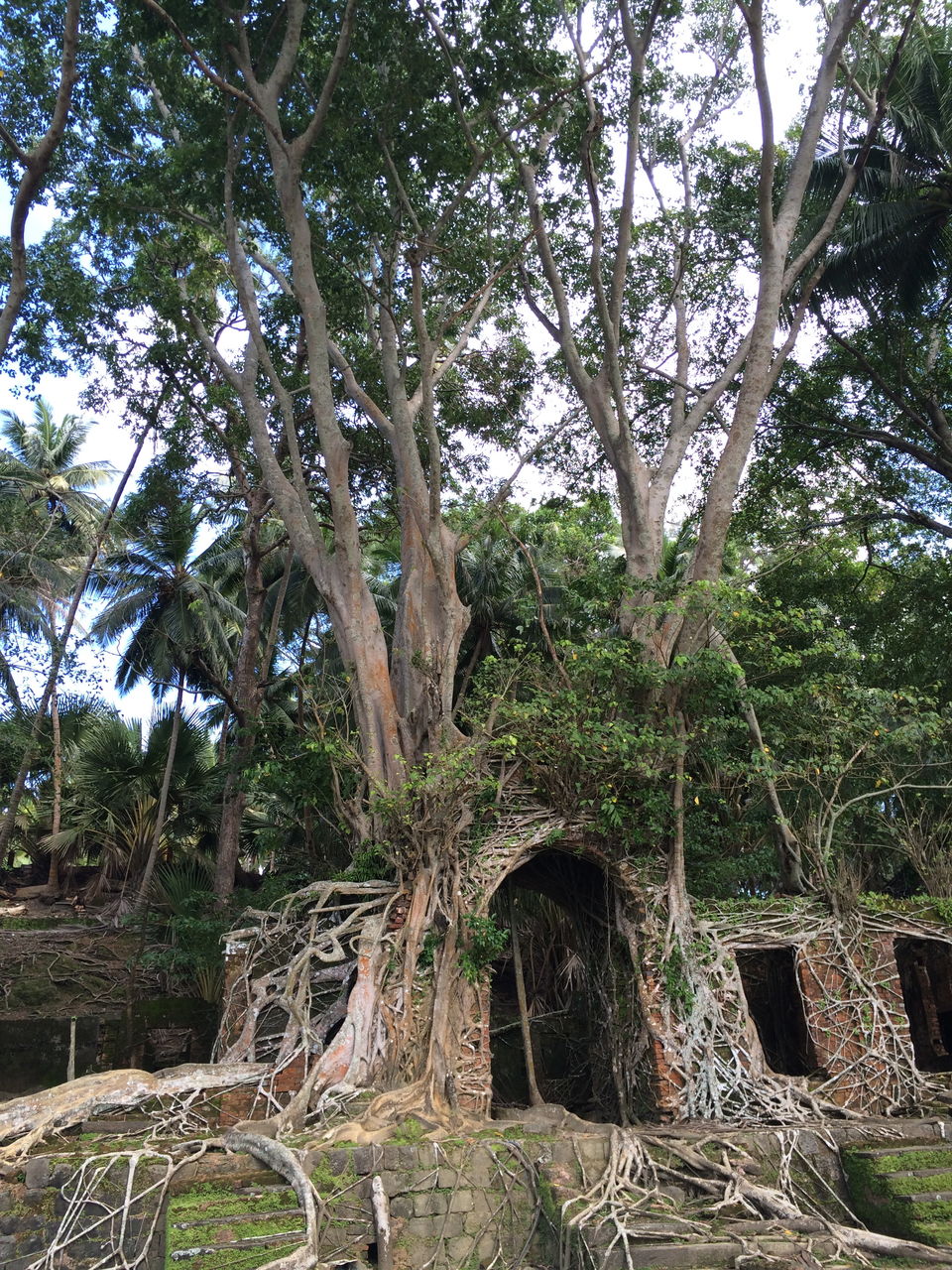 Photo of Andaman and Nicobar Islands – Beyond the obvious 19/30 by Sanya Kundra