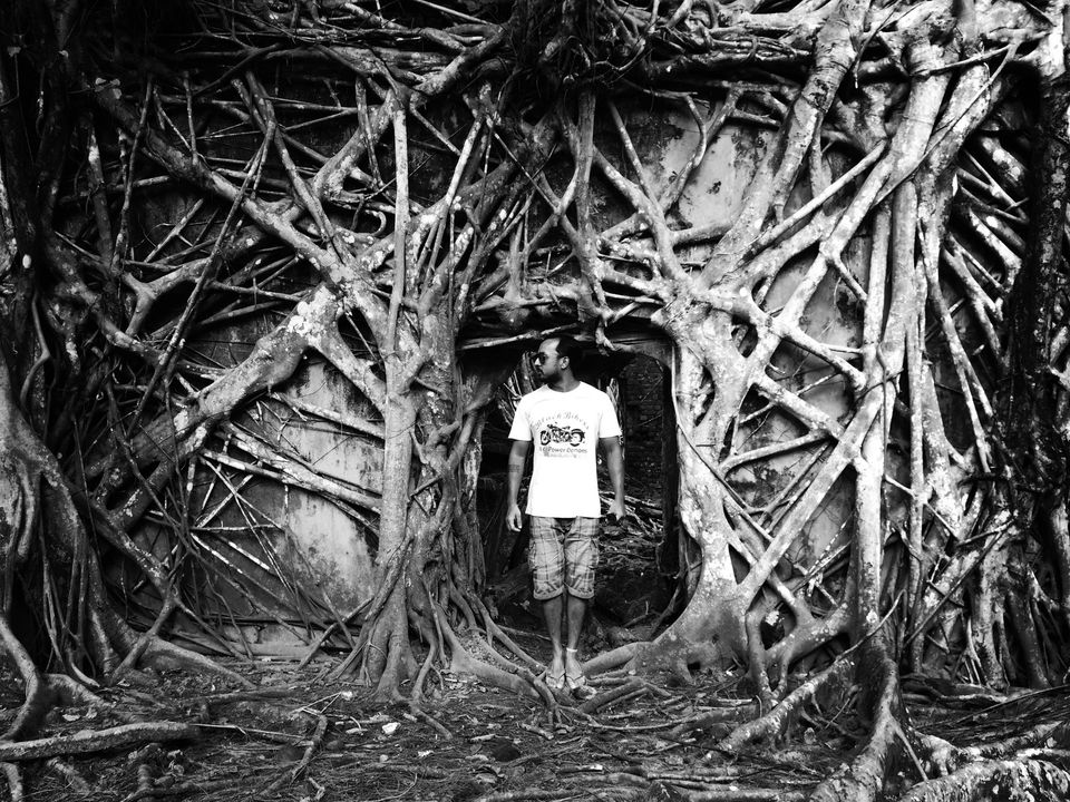 Photo of Andaman and Nicobar Islands – Beyond the obvious 25/30 by Sanya Kundra