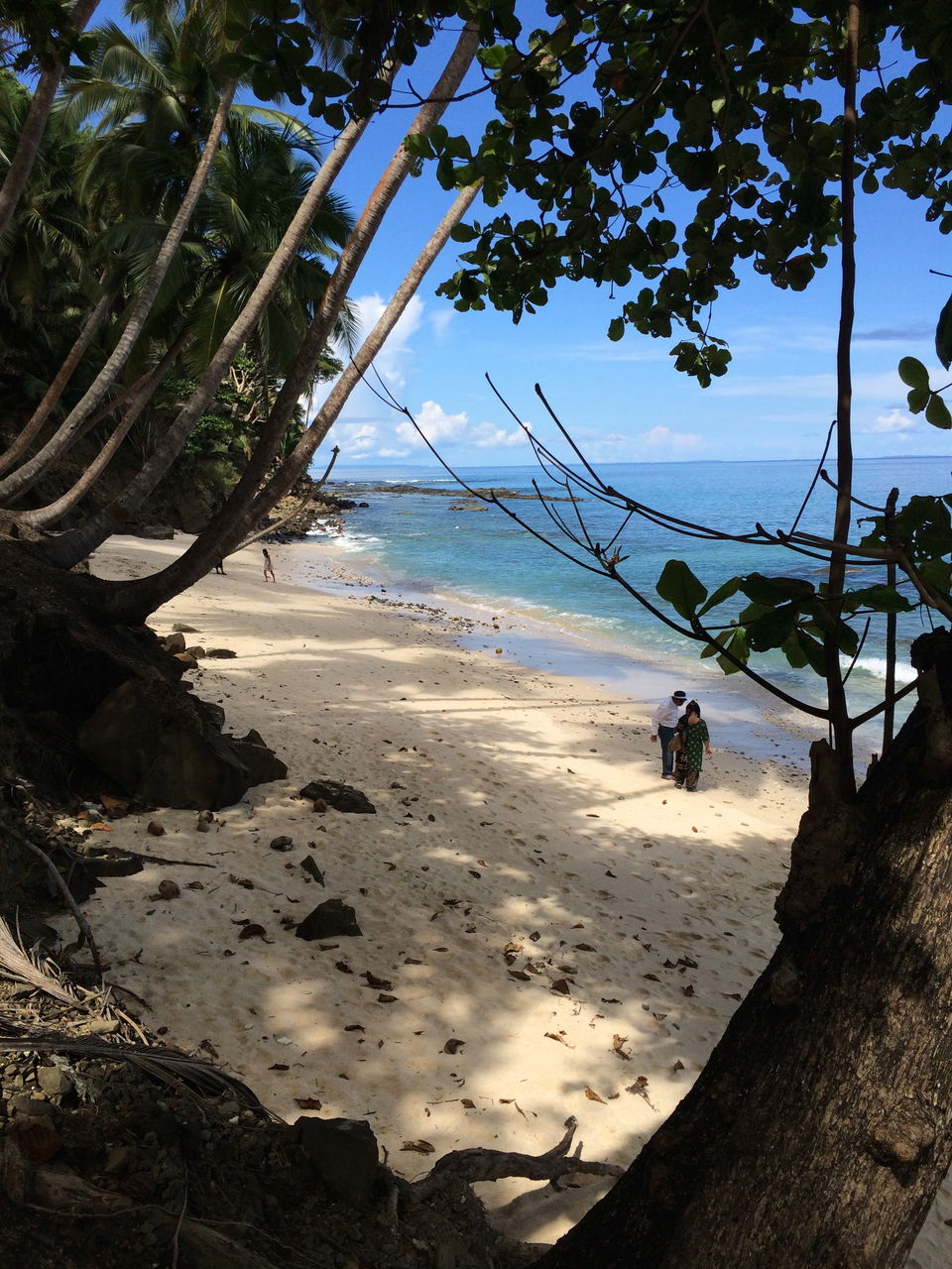 Photo of Andaman and Nicobar Islands – Beyond the obvious 29/30 by Sanya Kundra