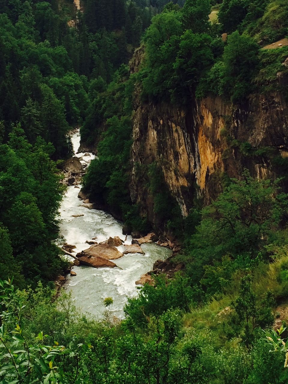 Photo of Kheerganga | Backpacker's Heaven 2/15 by Sanya Kundra
