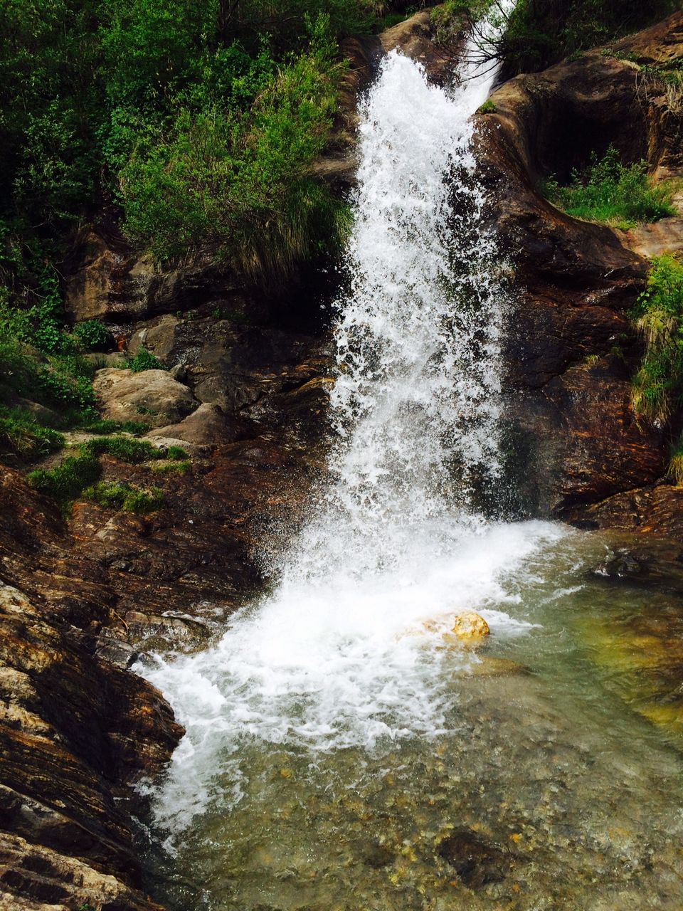 Photo of Kheerganga | Backpacker's Heaven 7/15 by Sanya Kundra