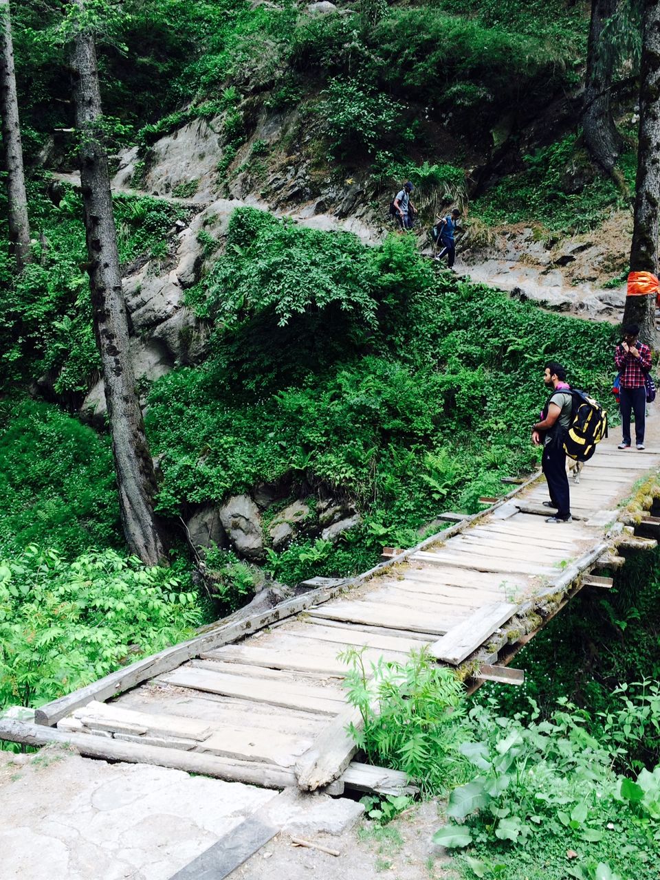 Photo of Kheerganga | Backpacker's Heaven 8/15 by Sanya Kundra
