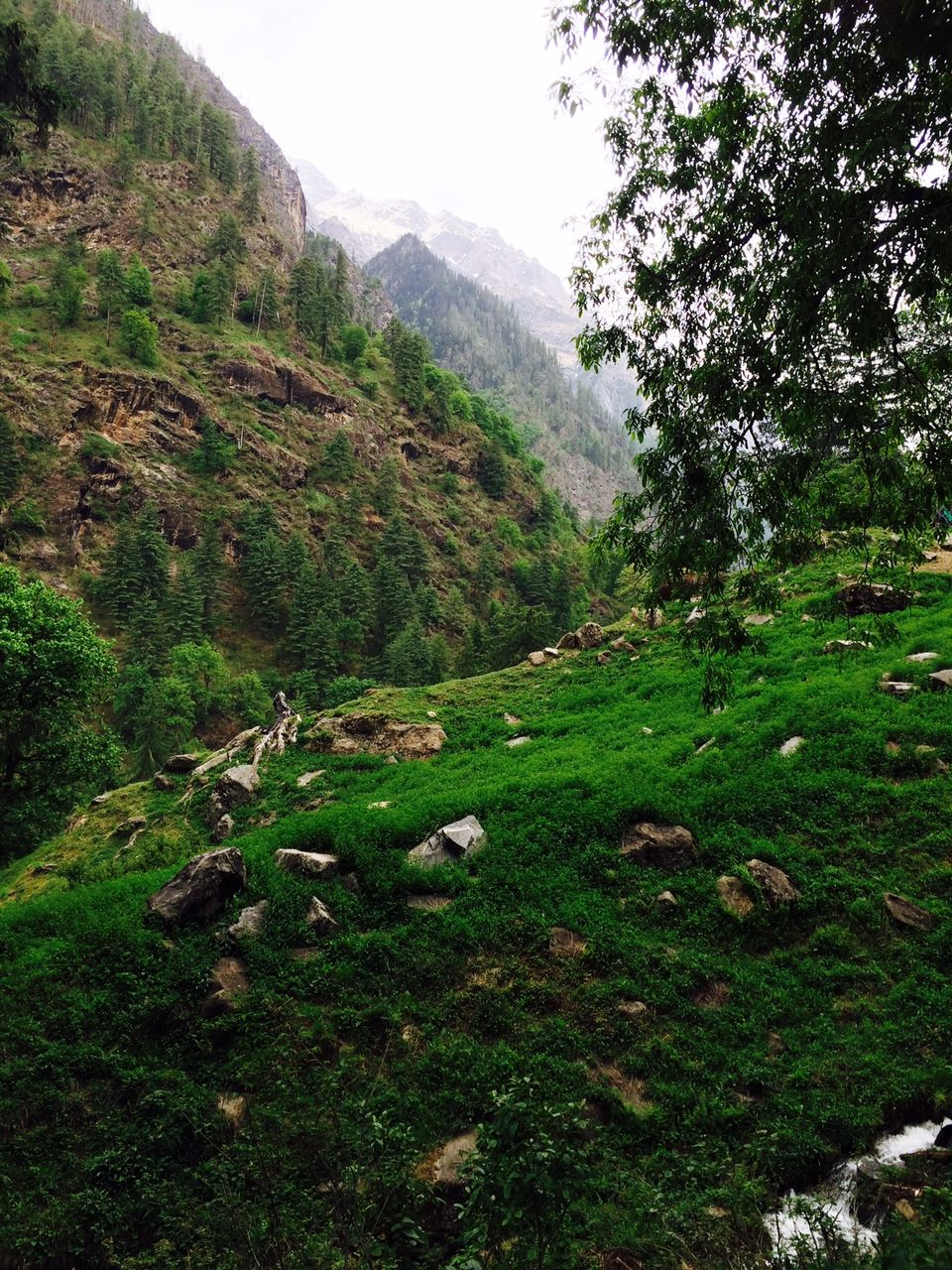Photo of Kheerganga | Backpacker's Heaven 11/15 by Sanya Kundra
