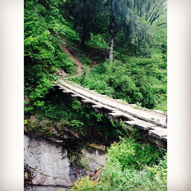 Photo of Kheerganga | Backpacker's Heaven 15/15 by Sanya Kundra
