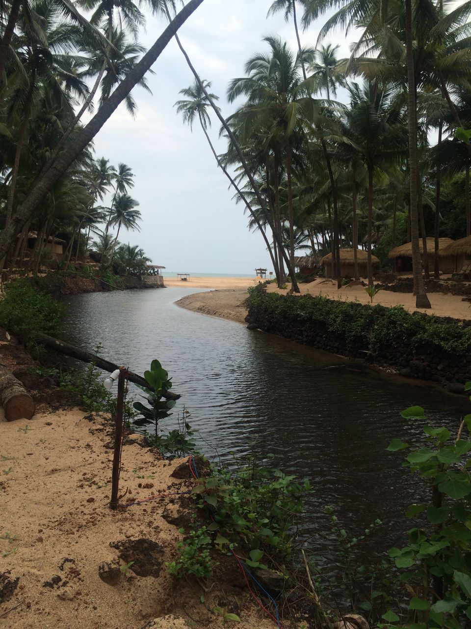 Photo of Goa | The South Remembers 1/10 by Sanya Kundra