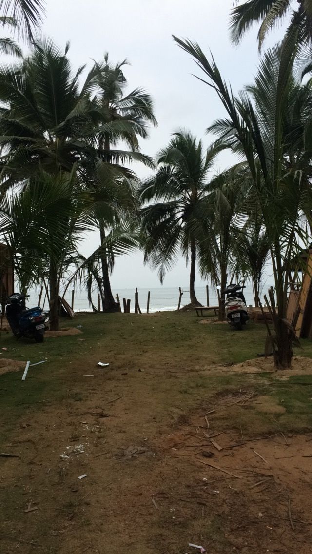 Photo of Goa | The South Remembers 4/10 by Sanya Kundra