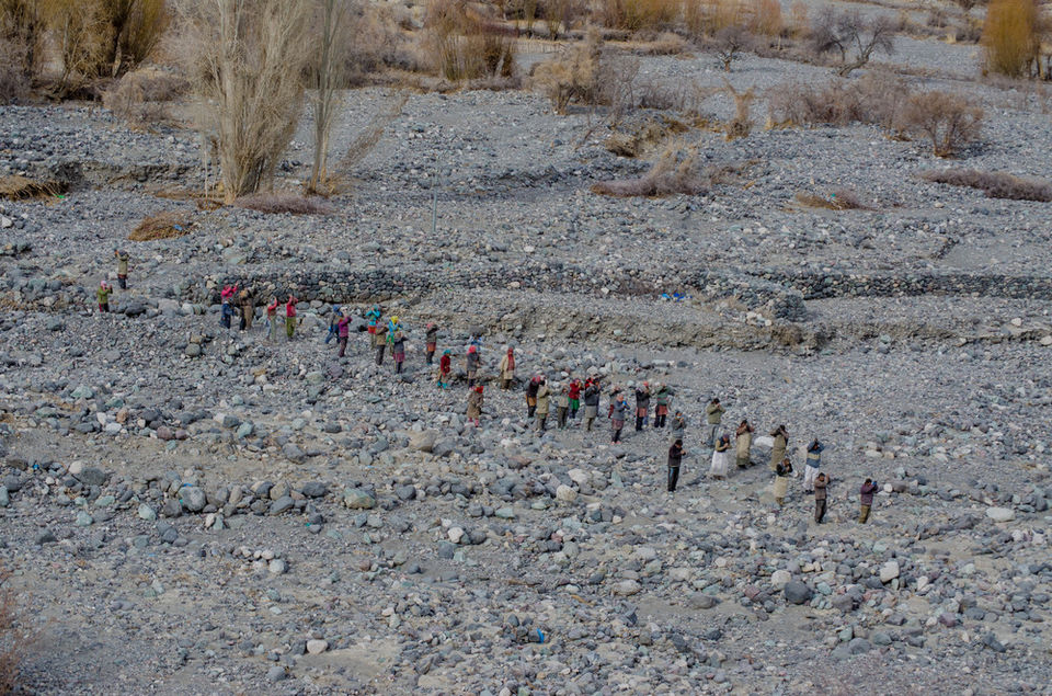 Photo of Tracing the Oldest Silk Route and the Highest Motorable Pass 10/18 by The Gone Goat
