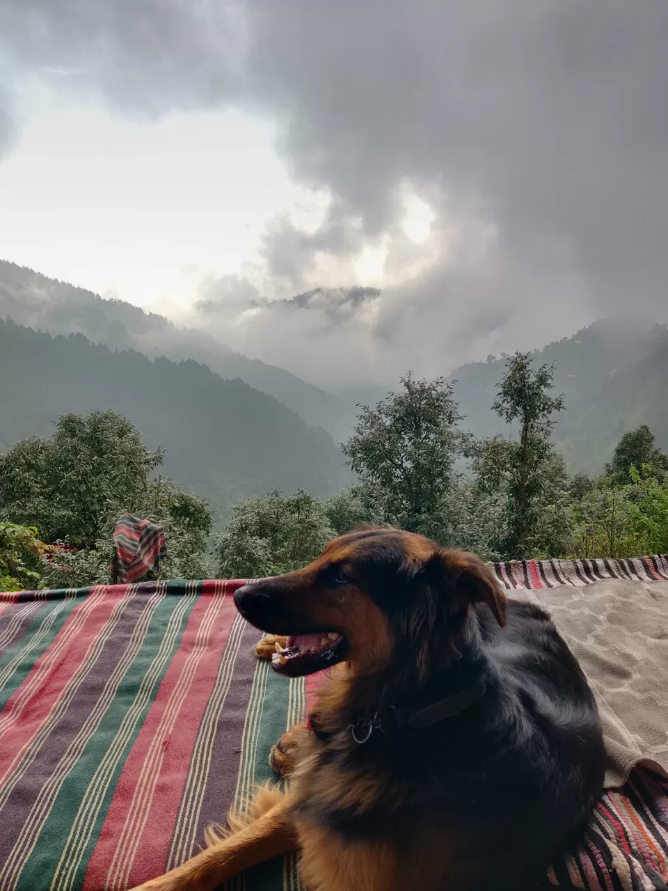 Photo of Beautiful pictures that show why Dharamshala & Mcleodganj should be on your list! #TravelPhotostory by Karishma Naidu