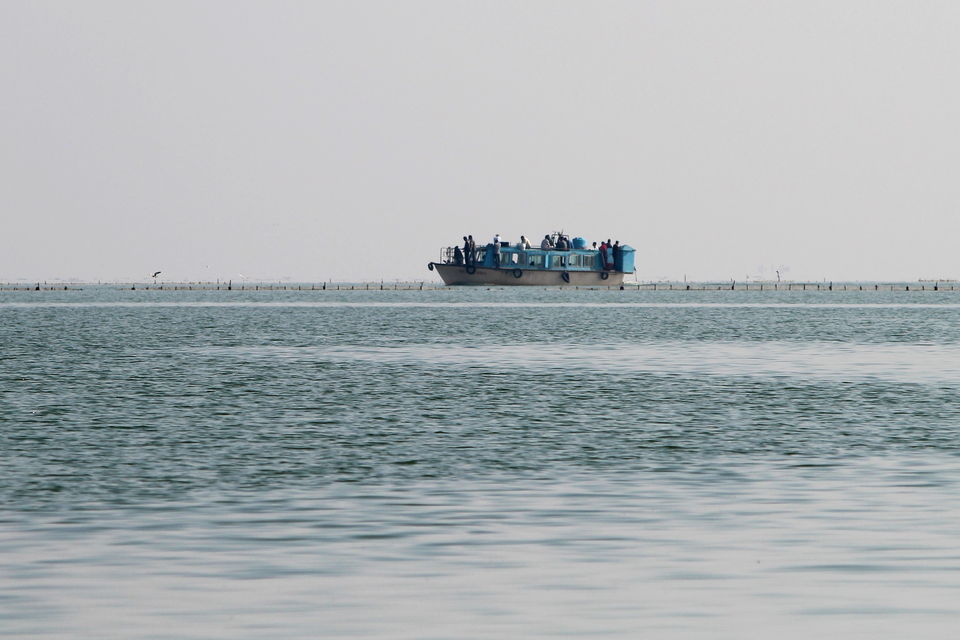Photo of A day trip to Nalabana, the heart of the beautiful Chilika. by Pranabandhu Nayak