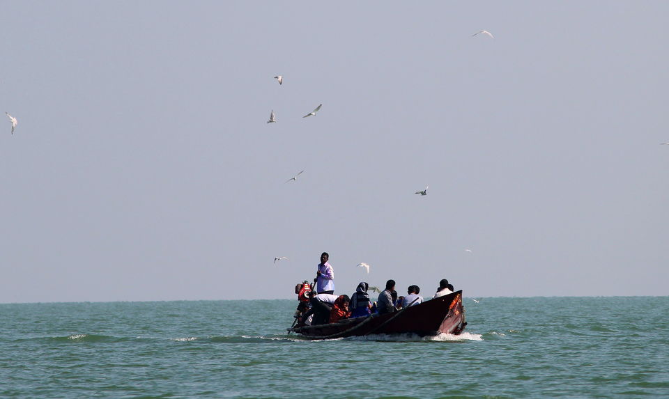 Photo of A day trip to Nalabana, the heart of the beautiful Chilika. by Pranabandhu Nayak