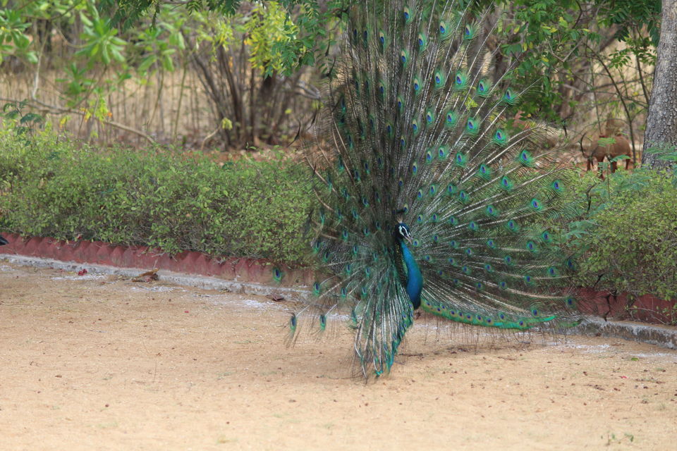 Photo of A solo trip from Bangalore to Kanyakumari!!! by Pranabandhu Nayak