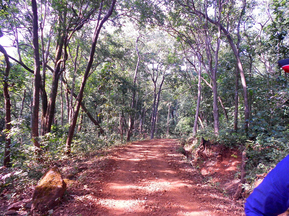 Photo of Similipal National Park, Mayurbhanj, Odisha, India by Pranabandhu Nayak