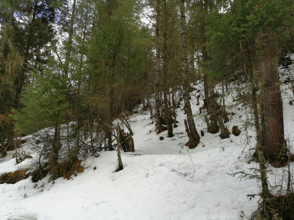 Photo of Chele La, Bhutan by Pranabandhu Nayak