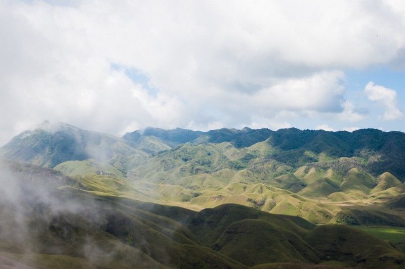 Dzükou Valley - An Adventure and the Beginning of a Love Affair - Tripoto