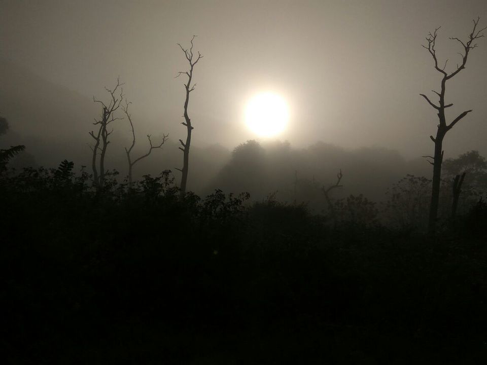 Photo of The Wild Road ,Masinagudi ->Theppakadu->Gudalur. by Kishore Kumar