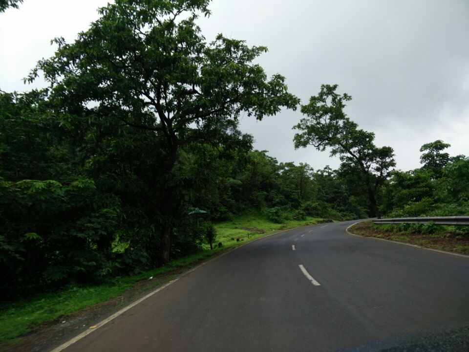 Photo of Malshej Ghat, Maharashtra 421401 by Charu Srivastava