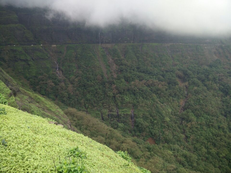 Photo of Malshej Ghat, Maharashtra 421401 by Charu Srivastava