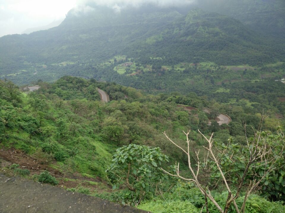Photo of Malshej Ghat, Maharashtra 421401 by Charu Srivastava