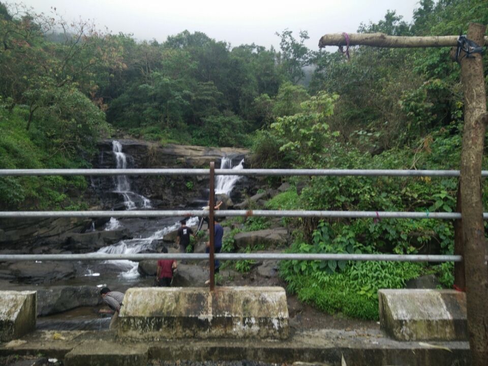 Photo of Malshej Ghat, Maharashtra 421401 by Charu Srivastava
