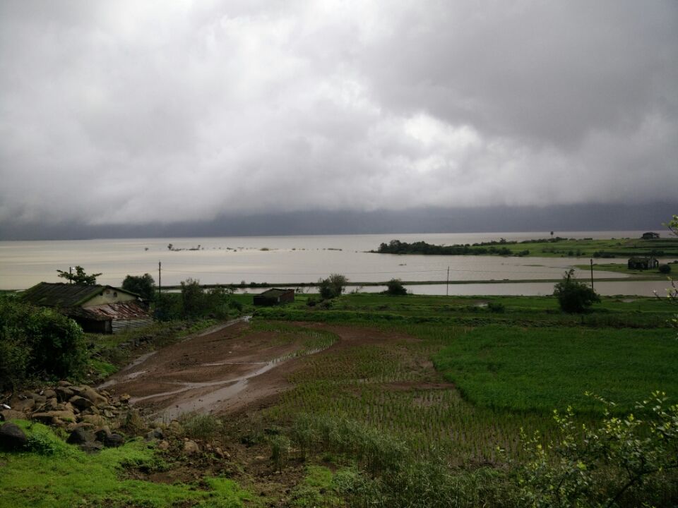 Photo of Malshej Ghat, Maharashtra 421401 by Charu Srivastava