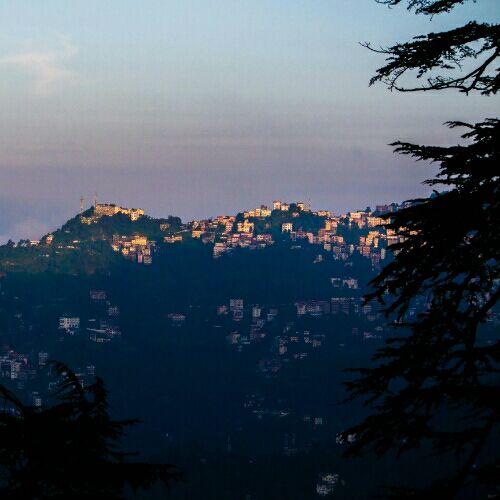 Photo of Shimla, Himachal Pradesh 171001, India by Srishti Millicent