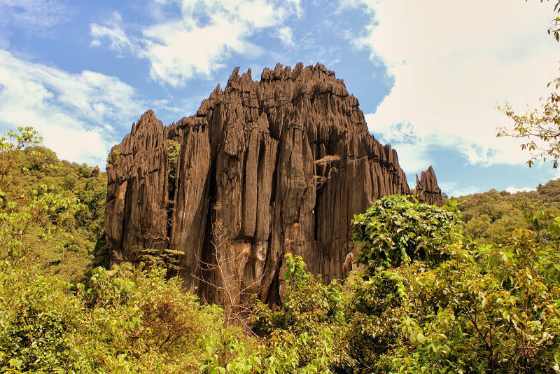 Photo of Into the Wild! The Road Trip to Yana and Jog Falls in Karnataka 3/6 by Abhijit Nayak