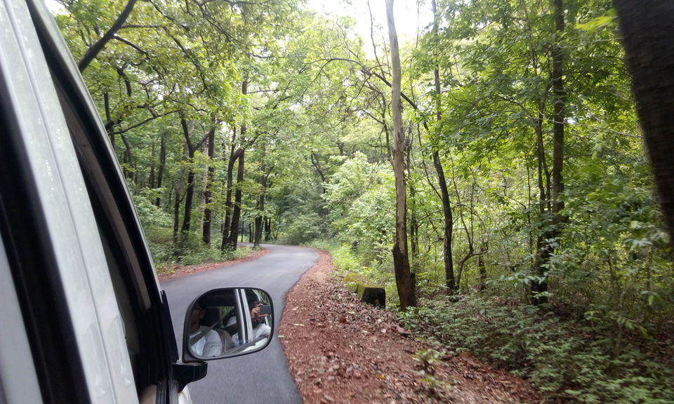 Photo of Into the Wild! The Road Trip to Yana and Jog Falls in Karnataka 1/6 by Abhijit Nayak