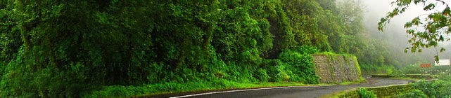 Photo of Into the Wild! The Road Trip to Yana and Jog Falls in Karnataka 5/6 by Abhijit Nayak
