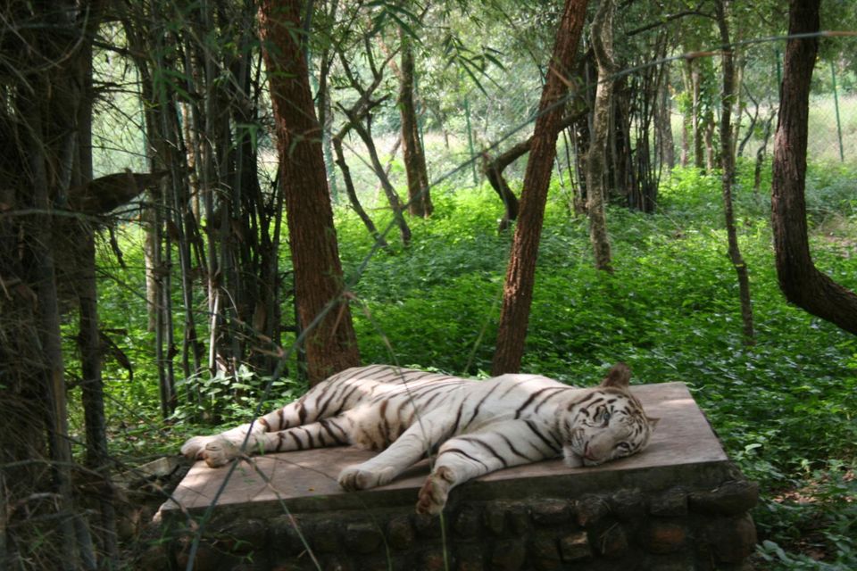 Photo of 5 Reasons To Visit Bangalore 3/9 by Mohammed Asif Khan