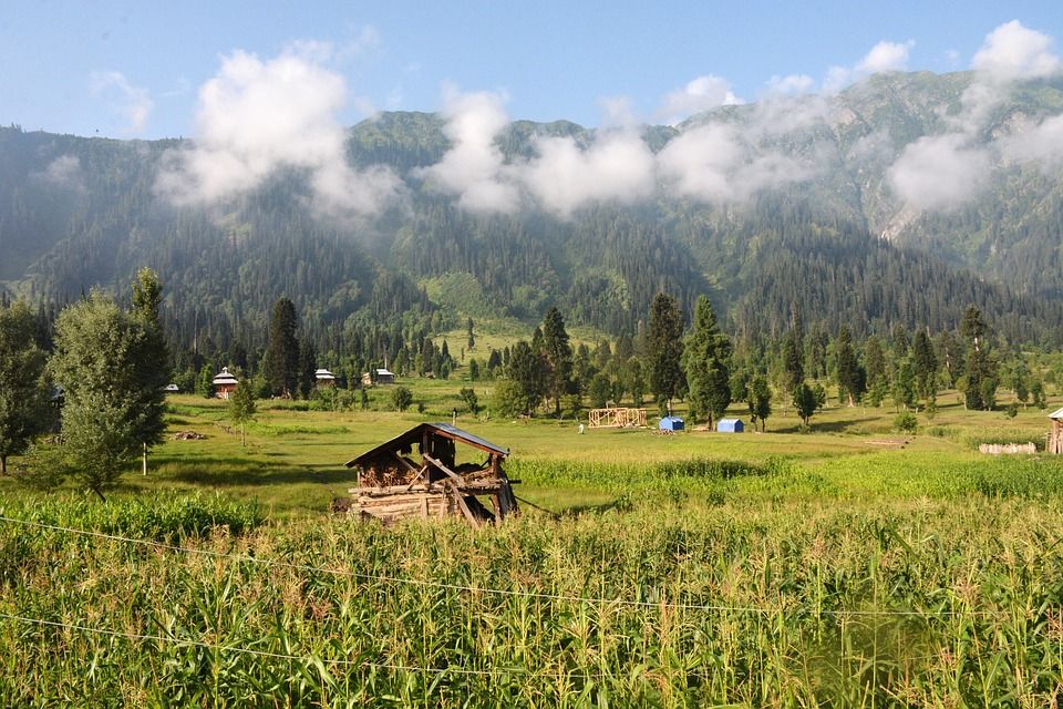 Photo of Joys of Jammu: Why, When & How 8/10 by Mohammed Asif Khan